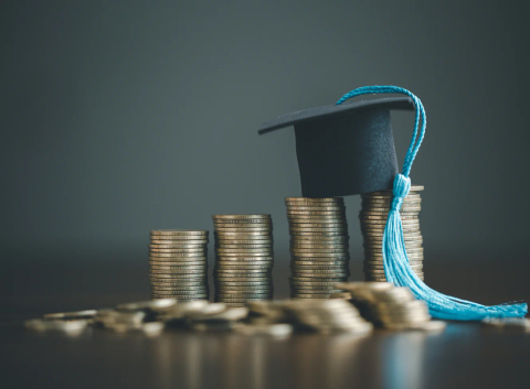 Education Loan Settlement - support service